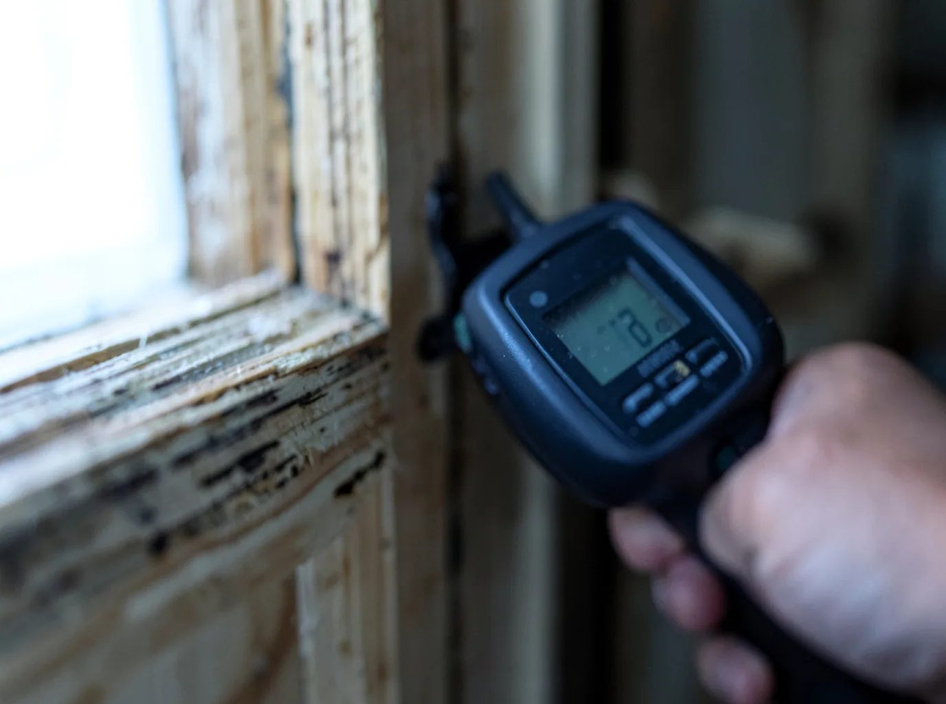 Water Damage Restoration Lulu, FL FAQs
